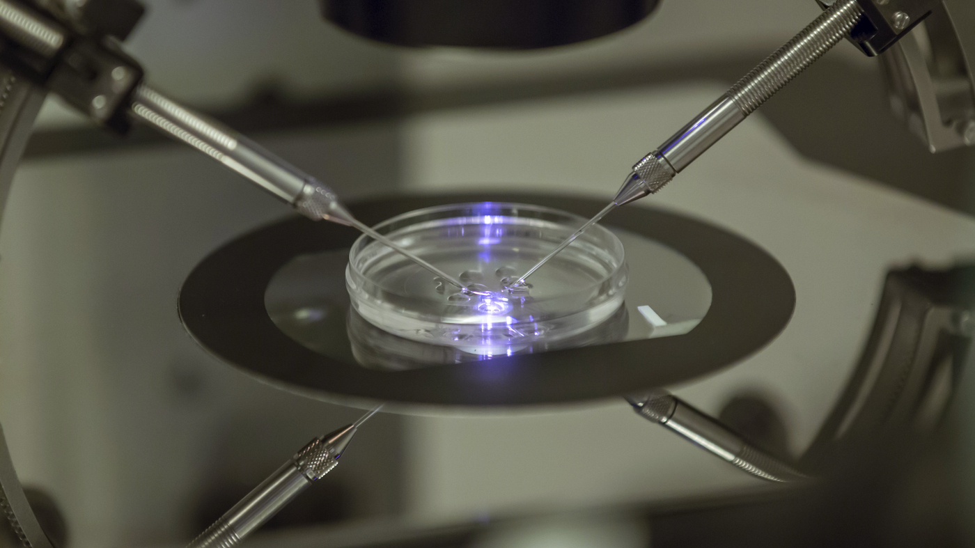 How Alabama’s ruling that frozen embryos are ‘children’ could impact IVF : NPR