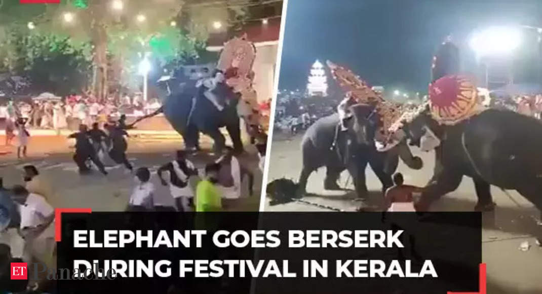 Elephant goes berserk during festival at Tharakkal temple in Thrissur, leaves several injured – The Economic Times Video